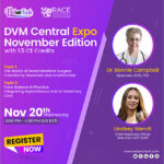 DVM-Central-Expo