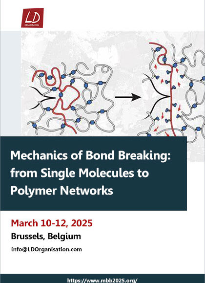 Mechanics-of-Bond-Breaking--from-Single-Molecules-to-Polymer-Networks