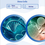 Webinar-on-Stem-Cells-2025