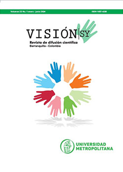 Revista-Vision-sy