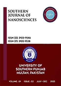Southern-Journal-of-Nanosciences