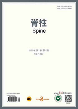 Spine（脊柱）